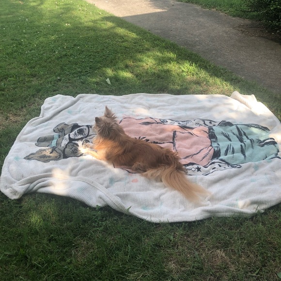 Welcome to my closet💕 - Picture 2 of 2